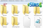Downloads in Die Sims 4 installieren