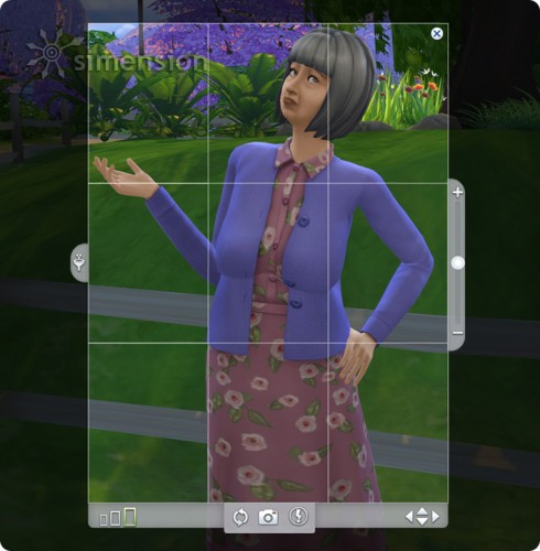 Sims 4 Fähigkeit Fotografie simension